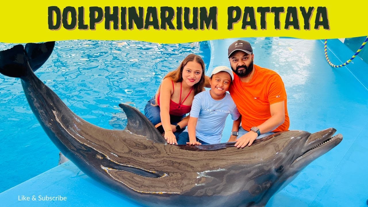 Dolphinarium Pattaya #Thailand | Pattaya Travel Guide | Thailand Travel with Kids
