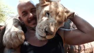 Dean Sneiider VLOG - Week 1 - Lion Pride, Rock Python Rescue, and more!