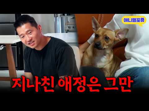 ‘다른 개들과 달라 재밌어요’ 강형욱이 파악한 유기견의 성향ㅣKBS 개는 훌륭하다 221010 방송