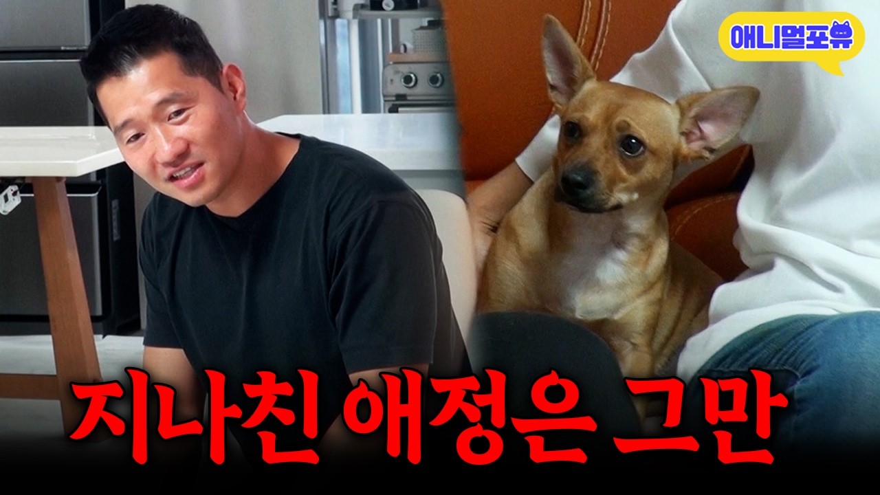 ‘다른 개들과 달라 재밌어요’ 강형욱이 파악한 유기견의 성향ㅣKBS 개는 훌륭하다 221010 방송