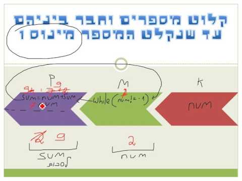 מה זה תכנות?! - פרק 16 - פתרון תרגיל WHILE