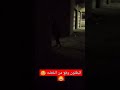 مقلب العفريت البنطلون وقع من الخضه ضحك فله وناسه طقطقه مقاطع مضحكه استهبال انتش واجري مقلب العفريت البنطلون وقع من الخضه ضحك فله وناسه طقطقه مقاطع مضحكه استهبال انتش واجري