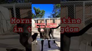 Here Is Our Morning Routine