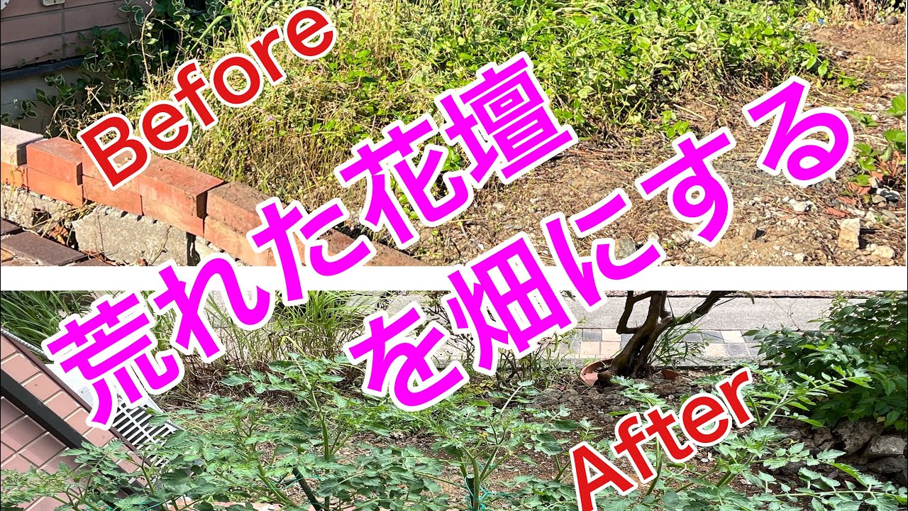 DIY1.【荒れた花壇を畑にする】 - YouTube