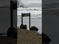 See Susquehanna River ice flow from New Cumberland to Long Level and minor flooding