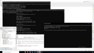 Application Server - Part 2, Satellite Server