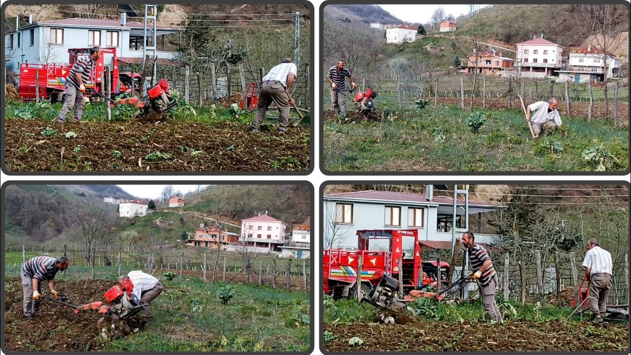Köyde Otlu ve Çetin Tarlayı Patpatlama 🚜🌱 | Baharın Müjdecisi Menekşeler 🌸 | Günlük Vlog
