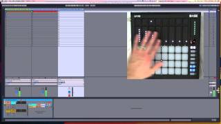 Celebrity The BASE and Ableton Live: Tutorial Part 3 Profile