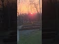 den Sonnenaufgang im Zug #zug #sonnenaufgang #germanyvibes