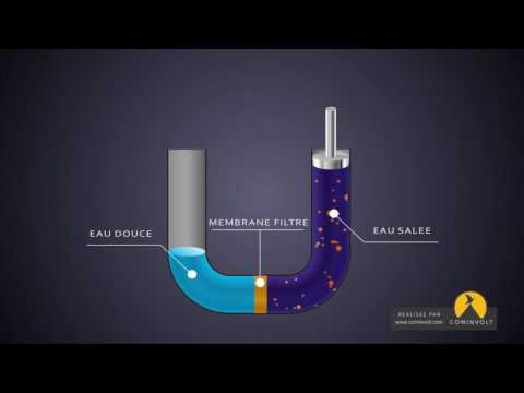 Vidéo: Osmose inverse (purification de l'eau). Les principaux inconvénients d'un système d'osmose inverse