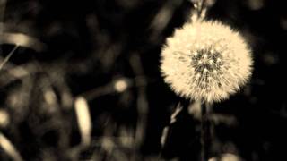 Janines Ci Pane Site - Enkelejda Alushi