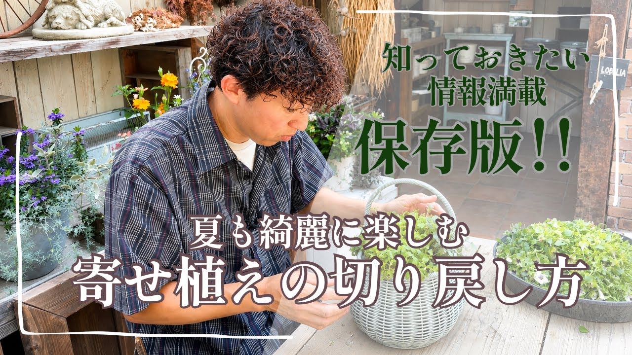 Winter potted plants] Make a potted plant that will lift your