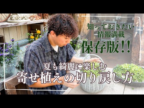 忙しい人向け、手間いらずガーデン5選