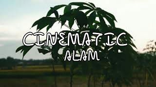 cinematic alam pedesaan yang indah