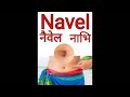 Navel meaning in hindi with photo मीनिंग इन हिंदी फोटो के साथ उच्चारण करना सीखें