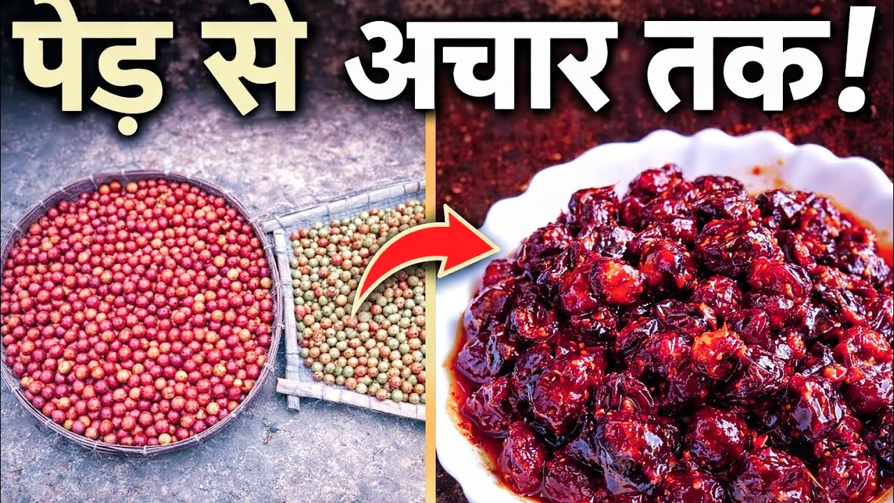 Making Ber Pickle in Village Style | Fresh Plum Achar Recipe on Mud Stove