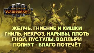 : .  Total War Warhammer 3