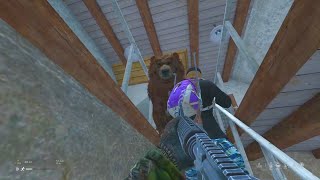 Running into a BEAR on DayZ