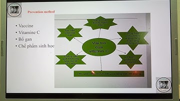 Bệnh Streptococcus gây lồi mắt trên cá bớp @krishnguyen8542 #cábớp