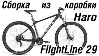 :    HARO FlightLine Two FL29
