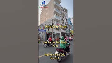 Cho Thuê Nhà Quận 1 | Gần Chợ Tân Định, Hai Bà Trưng | DT 8x25m | Giá 140 Tỷ | Nhà Đất Sài Gòn