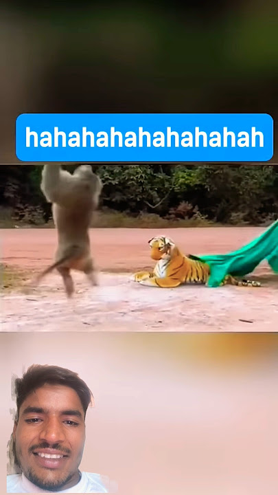 Monkey prank 🤣🤣 #funny #animals #comedy ##greenscreen #monkey