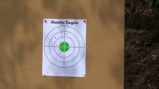 Ammo Comparison 100 Yards Ruger 10 22 Second Round