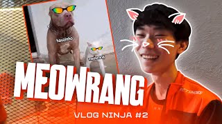 É O PITBULL E O GATINHO! - Vlog Ninja #2 | CBLOL 2024.1