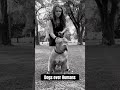 Monster XXL AMERICAN BULLY LOVE Xlbully Pitbull Monster XXL AMERICAN BULLY LOVE Xlbully Pitbull