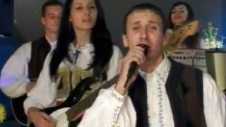 Akademik Prof. Dr Vinko Perić - Vikom Rtv - Zdravica - Vikomice