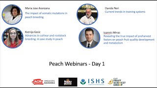 Peach Webinars - Day 1 (June 1, 2021)