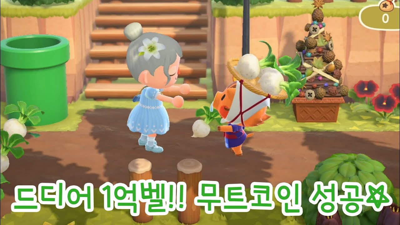 무주식 대박으로 1억벨 만들기!! | 모동숲