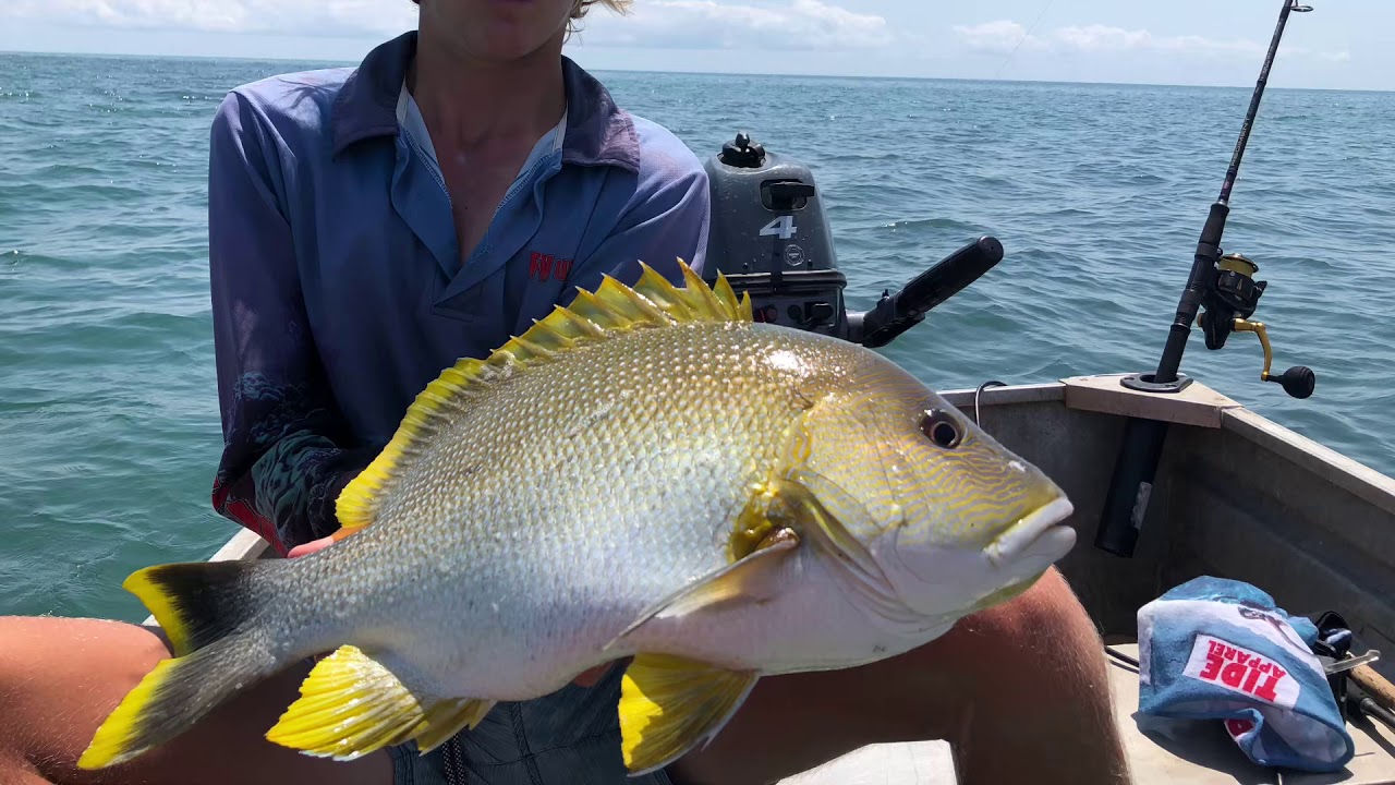 Spanish flag catch and cook and biggg trout YouTube