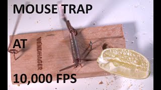 MOUSE TRAP AT 10,000 FPS - Slow Motion - Chronos 1.4