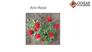 Skylark Science Book 1, Chapter 5, Lecture 2