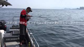 【マイクロフリップ】投げて巻くだけ編