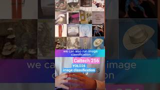 Image Classification with Ultralytics YOLO26?! 👀⚡
