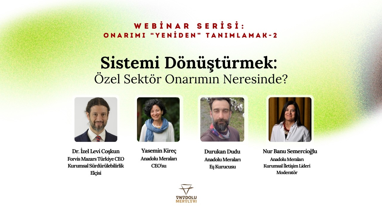 WEBİNAR | Sistemi Dönüştürmek: Özel Sektör Onarımın Neresinde?
