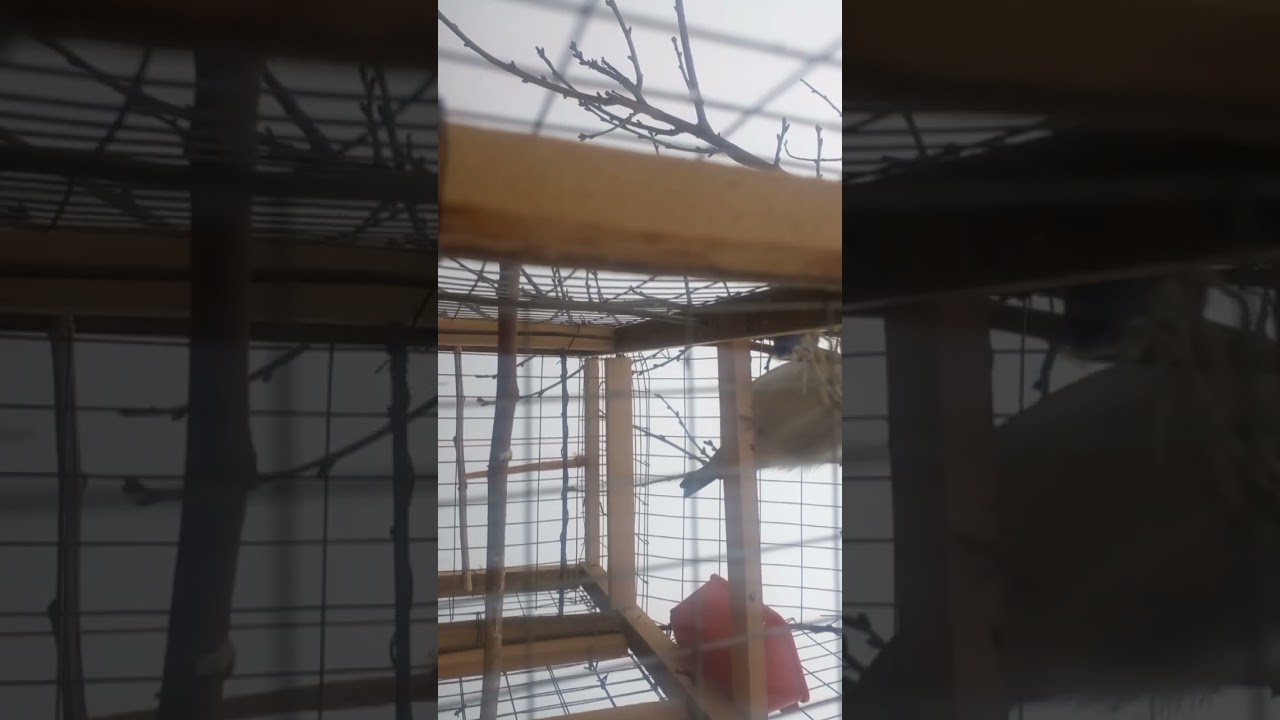 16 февраля 2026 г.