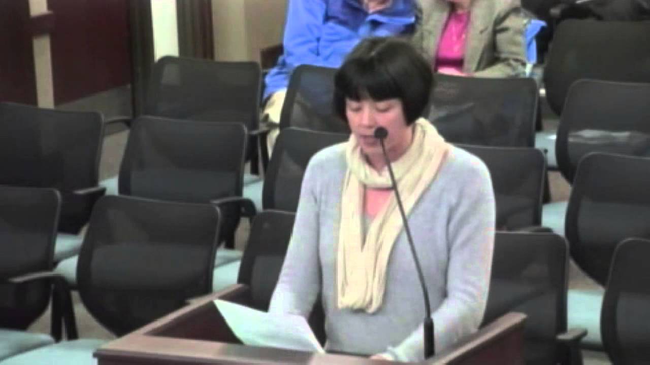 Vivienne Palmer Speaking at Boulder City Council Meeting March 18, 2014