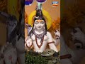 Maya | Shorts | Ep-37 | মায়া | Bengali New Serial | Tarang Bangla