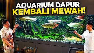 AKHIRNYA AQUARIUM DAPUR GW JADI MEWAH KEMBALI DENGAN ARWANA ALBINO INI!