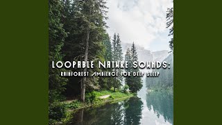 Rain Sounds