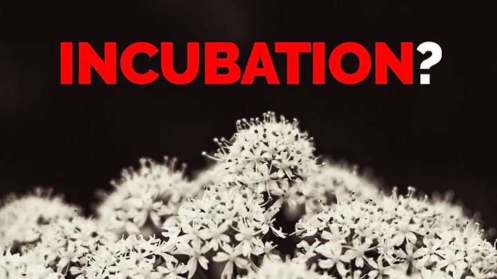 What is Incubation?