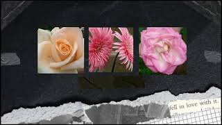 Download Lagu Bagus Agro plaga, petang bali . ( Tugas p5 )  MP3