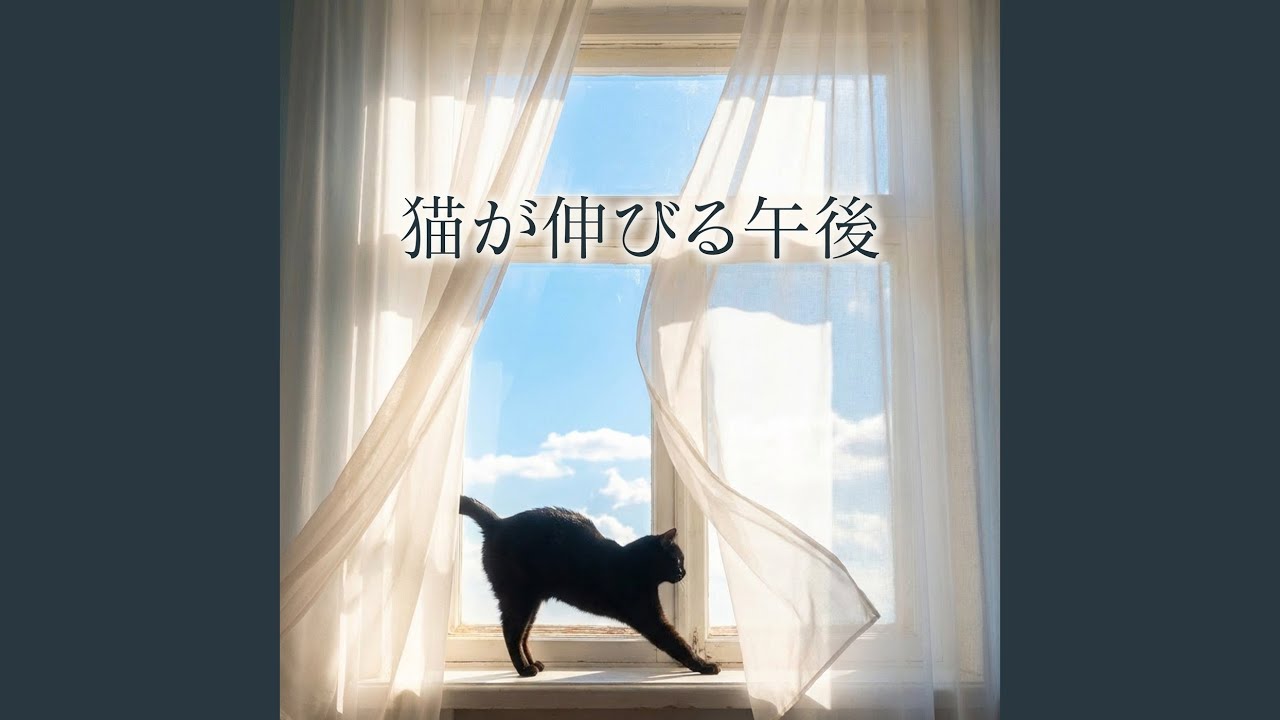 ねこが伸びる午後