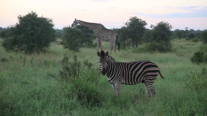 Ep. 12 "Kruger" Jill and Kate: African Adventures ...
