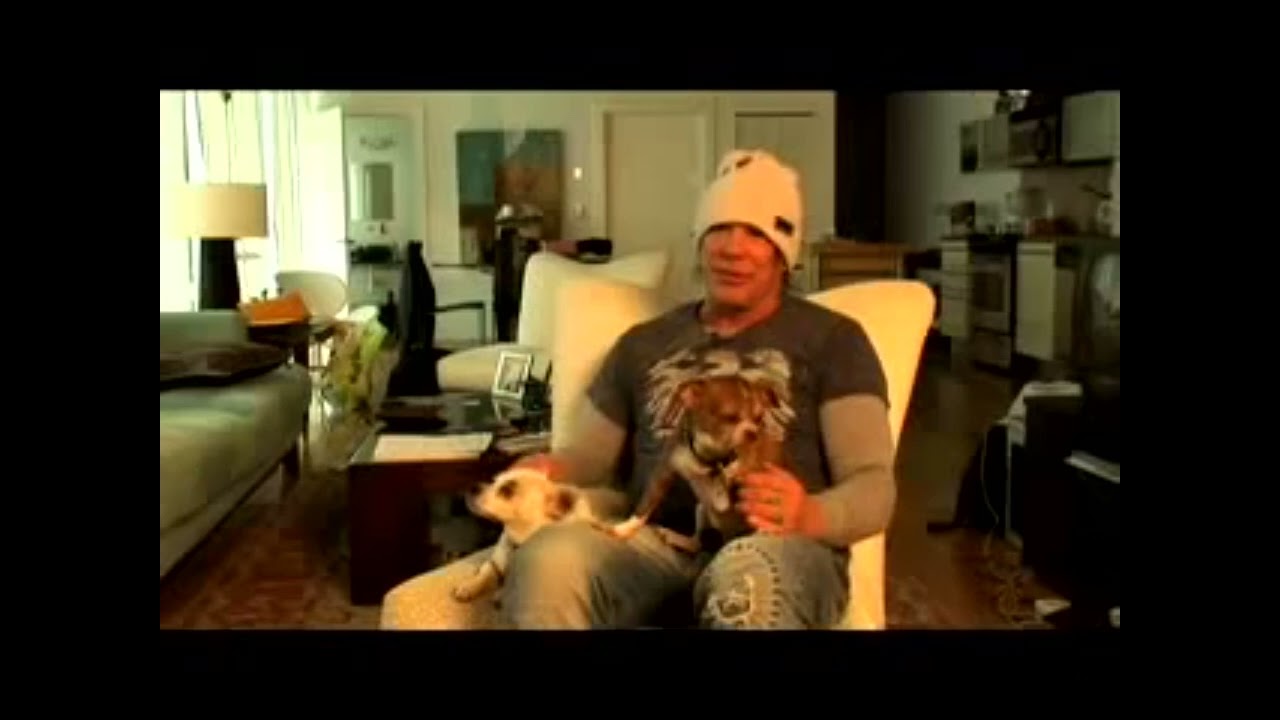 Интервью с Микки Рурком эксклюзивно для PETA (на русском)