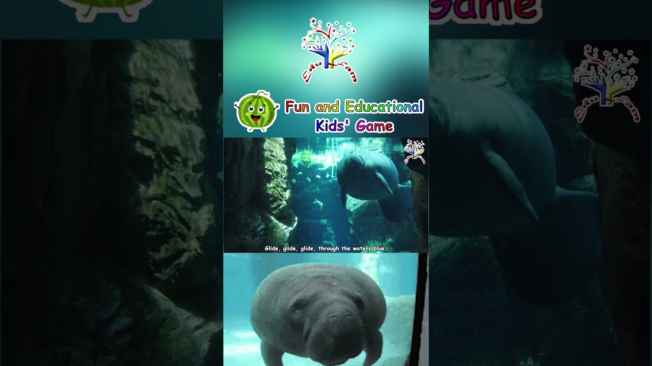 The Manatee Song for Kids | Fun Animal Song | Learn About Manatees!