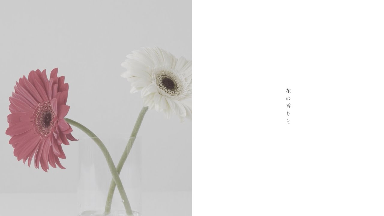 共犯 / original MV